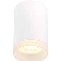 Припотолочная люстра ST Luce ST100.502.01