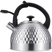 Чайник со свистком Regent Inox 93-TEA-50