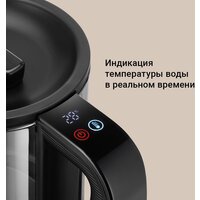 Электрический чайник Redmond (Редмонд) KG259S (черный/тонировка)