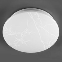 Светильники, люстры, бра, споты General Lighting Reed GSMCL-019-24 800258