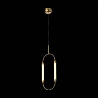 Припотолочная люстра ST Luce Olbia SL6004.303.02