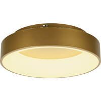 Припотолочная люстра Myfar Shannon MR2195-1PL