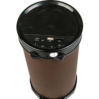 Беспроводная колонка Dialog AP-1000