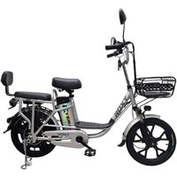 Электровелосипед Terax ROXY NS010