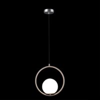 Подвесная люстра LOFT IT Glob LOFT2600-B