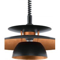 Подвесная люстра Eglo Brenda 31666