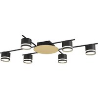 Припотолочная люстра Lumion Benua 8304/6C