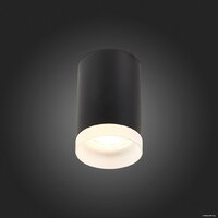 Припотолочная люстра ST Luce ST100.402.01