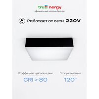 Припотолочная люстра TruEnergy 11169