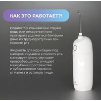 Ирригатор  Evolution WF-01 + Электрическая зубная щетка Enchen T501 (серый)