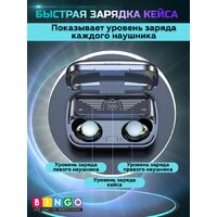 Наушники Bingo BQ10 (черный)