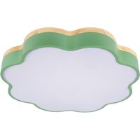 Светильник-тарелка LOFT IT Axel 10225/36 (Green)