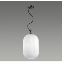 Подвесная люстра Odeon Light Roofi 4752/1