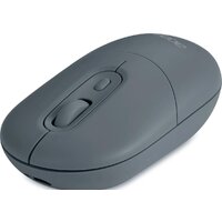 Мышь Acer OMR301 (черный)