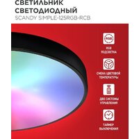 Припотолочная люстра In Home Scandy Simple-125RGB-RCB 4690612062273