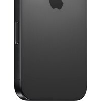 Телефон Apple iPhone 16 Pro Max 256GB (черный титан)