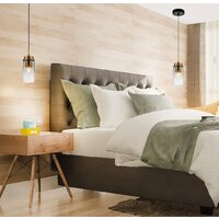 Подвесная люстра Escada 2118/1S (Black/Brass)