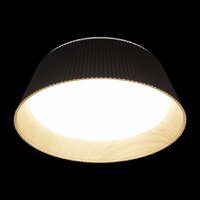 Припотолочная люстра LOFT IT Evans 10224 (черный)