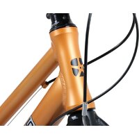 Велосипед Maxiscoo 5Bike 24 2026 MSC-M5-2423 (оранжевый матовый)
