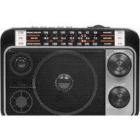 Радиоприемник Ritmix RPR-171