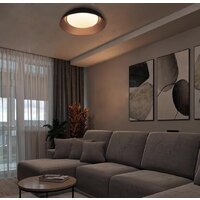 Припотолочная люстра LOFT IT Cappello 10229 (черный)