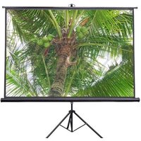 Проекционный экран Future Vision Tripod 180x180 T180SMW