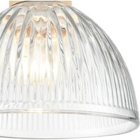 Подвесная люстра Lumion Natana 8055/1А