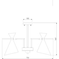 Припотолочная люстра Евросвет Apart 70114/5 (белый)