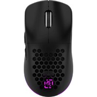 Игровая мышь Оклик 900GMW (черный)