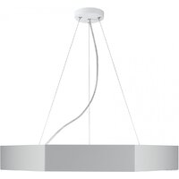Подвесная люстра ЭРА Geometria Hexagon SPO-124-W-40K-051 Б0058882