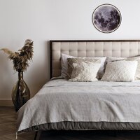 Припотолочная люстра Escada Planet 10226/SG LED Mars