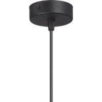 Подвесная люстра Vitaluce V4711-1/1S