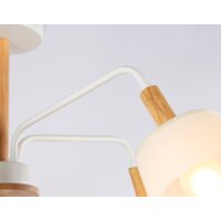 Люстра средней высоты Ambrella light TR4738/5 WH/LW