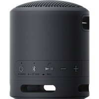 Беспроводная колонка Sony SRS-XB13 (черный)