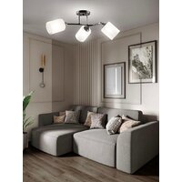 Припотолочная люстра Aitin Pro НПБ 02-3x60-101 K2316/3 (черный/хром)