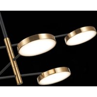 Подвесная люстра ST Luce Farone SL1605.413.06