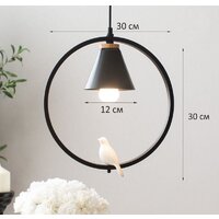 Подвесная люстра Home Light Астерия A043-5-B