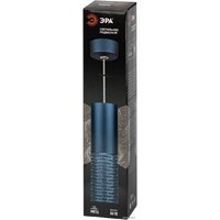 Подвесная люстра ЭРА PL34 BL MR16 GU10 Б0061372