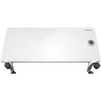Конвектор Thermex Frame 2000E
