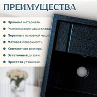 Кухонная мойка Saniteco Fortis (черный)