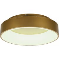 Припотолочная люстра Myfar Shannon MR2195-1PL