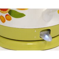 Электрический чайник Oursson EK1742G/GA