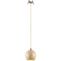 Подвесная люстра Odeon Light Caucho 7061/1