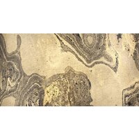 Подвесная люстра Odeon Light Bergi 5064/1