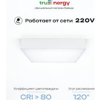Припотолочная люстра TruEnergy 11167