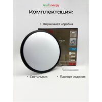 Припотолочная люстра TruEnergy 11603