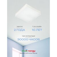 Припотолочная люстра TruEnergy 11166