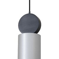 Подвесная люстра Favourite Otium 2270-1P