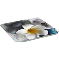 Напольные весы Econ ECO-BS004