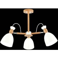 Люстра средней высоты Evoluce Balcamo SLE103802-03
